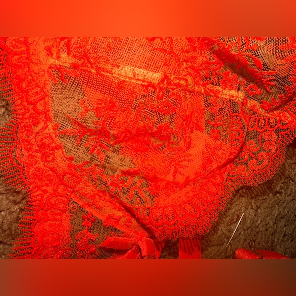 Dita von teese | EUC 3 piece sheer lingerie | vibrant coral lace 75E & medium - Picture 7 of 8